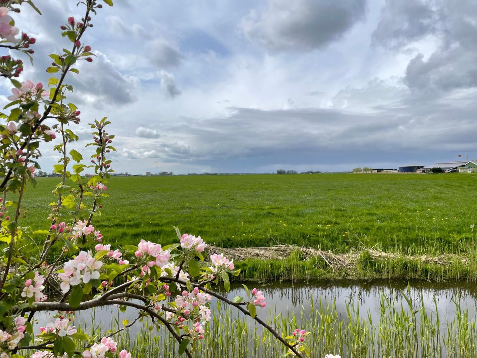 Bed And Breakfast De Salix Hitzum Exteriör bild